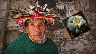 Peyote Last of The Medicine Men  Huichol People of Mexico [upl. by Curley642]