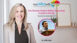 How Retained Primitive Reflexes Impact Brain Function at Any Age with Dr Peter Scire [upl. by Atterys895]