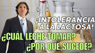 ¿Qué leche tomar y qué productos derivados puedes consumir  INTOLERANCIA A LA LACTOSA [upl. by Addiel445]