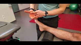 FOOT amp ANKLE SFMA BIOMECHANICAL ASSESSMENT amp ACCESSORY JOINT PLAY [upl. by Nillok627]