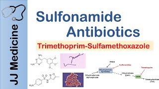 Sulfonamide Antibiotics  Bacterial Targets Mechanism of Action Adverse Effects [upl. by Aicekan]