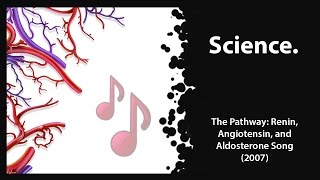 The Pathway Renin Angiotensin amp Aldosterone 2007 [upl. by Aylsworth]