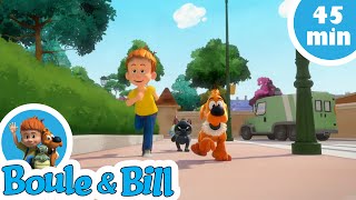 🐈Boule et Bill se font embêter par le chat Caporal 😠  Nouvelle compilation Boule et Bill FR [upl. by Odraboel702]