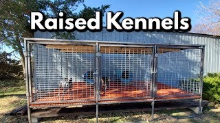 Professional Raised Dog Kennel build [upl. by Koah684]