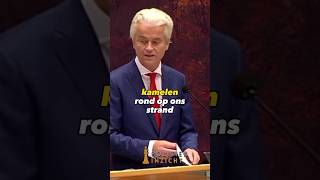 Wilders Nog even en er lopen KAMELEN rond op ons strand 🤣 shorts [upl. by Bopp]