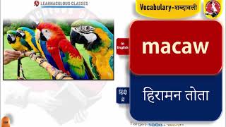 Vocabulary शब्दावली DailyDose Series 51  English Words with Hindi Meaning amp Its Pronunciation [upl. by Nnaer]