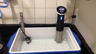 Sous vide  Darkroom Water Bath C41 E6 Color BampW Film Processing  Precision Cooker [upl. by Zeret]