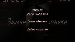 Radlager wechseln Triumph Speed triple 1050 [upl. by Kcirdef]