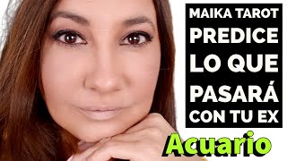 ACUARIO‼️ Tu EX REGRESA 😱 Predicciones de Maika Tarot canalizacion [upl. by Haskel738]