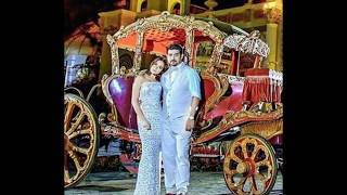 Ian Veneracion and Bea Alonzo Elegant Wedding on ALTL [upl. by Ludie]