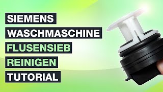 Flusensieb reinigen Siemens Waschmaschine  Anleitung IQ300 und vergleichbare Modelle  Testventure [upl. by Tema776]