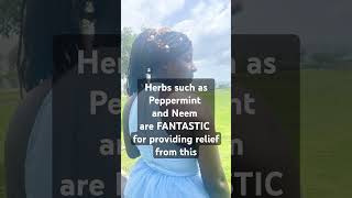 ITCHY BRAIDS Watch this synthetichair itchyscalp protectivestyles shortfeed hairtreatment [upl. by Yenruogis49]