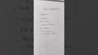 Sites of metabolism metabolism glycolysis hmpshunt gluconeogenesis ureacycle heme fattyacid [upl. by Obidiah]