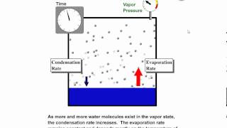 Vapor Pressure Equilibrium Vapor Pressure and Relative Humidity [upl. by Mohr]