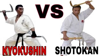 Kyokushin VS Shotokan [upl. by Elbring548]