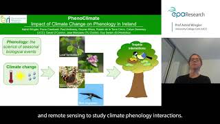 Research 404 PhenoClimate Impact of Climate Change on Phenology in Ireland [upl. by Xyno614]