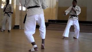 shorinji kempo tanzania [upl. by Arriek]