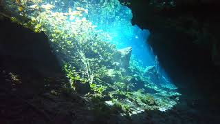 Cenote Nic Te Ha  Mexico part 2 [upl. by Hamirak176]