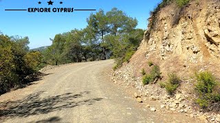 Rocky mountain Pine Forest road in the Troodos Mountains in CYPRUS  4K 60FPS [upl. by Hana]