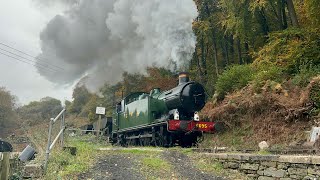 Dean Forest Railway  Royal Forest Of Steam 2024 [upl. by Enayr]