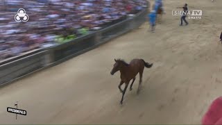 PROVA GENERALE  NICCHIO  PALIO DI SIENA 2 LUGLIO 2024 [upl. by Connett]