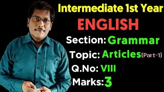 Intermediate 1st Year English Grammar  Articles in English Part1 [upl. by Narat]