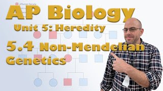 AP Biology Unit 5  54  NonMendelian Genetics [upl. by Wallie]