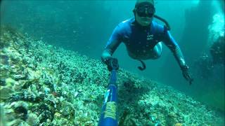 Dive Site Explained  Justins Caves and Sandy Cove  Cape Town South Africa [upl. by Canter521]