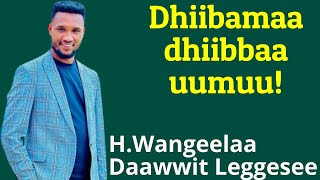 Dhiibamaa dhiibbaa uumuuHojjetaa Wangeelaa Daawwit Lggaseeburkagaritube [upl. by Ailel]