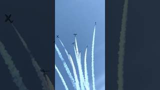 Snowbirds perform at the CIAS 2024 [upl. by Relyc]