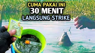 30 MENIT UMPAN LANGSUNG DI MAKAN IKAN NILACampuran Lumut [upl. by Skerl]