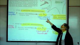 SYNAPTIC TRANSMISSION IN THE CNS PART 1 by Professor Fink [upl. by Einnos]