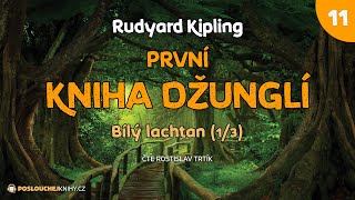 Rudyard Kipling První kniha džunglí – 11 Bílý lachtan 13 [upl. by Luamaj]