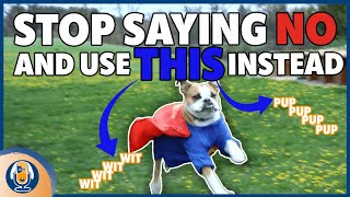 Stop Your Dog’s Unwanted Behaviors With This Positive Interrupter 158 podcast [upl. by Scarlet]