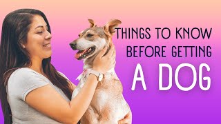 Things to Know Before Getting a Dog Essential Tips for New Dog Owners  Pet Pulse Tv [upl. by Yllib]