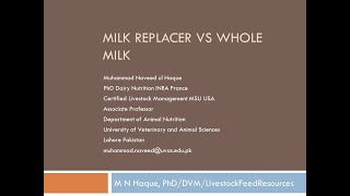 Milk Replacer vs whole milk for feeding of dairy calf [upl. by Oetomit]