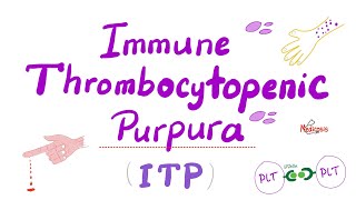 Immune Thrombocytopenia ITP — Most COMPREHENSIVE Explanation — Hematology [upl. by Sibelle]