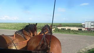 Kutschfahrt auf Hallig Hooge [upl. by Isabea]