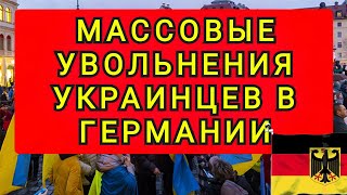 БЕЖЕНЦЕВ НАЧАЛИ МАССОВО УВОЛЬНЯТЬ В ЕВРОПЕ  КАК ПО КОМАНДЕ [upl. by Astri]