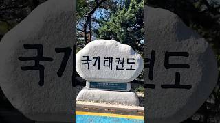 국기원 태권도 시범단 훈련 영상🇰🇷Kukkiwon Taekwondo Demonstration Team Training Video🇰🇷 [upl. by Ondrej112]