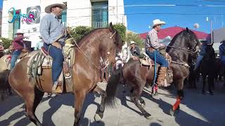 Una Belleza de Caballos Bailadores en Carnaval Autlan 2024 [upl. by Martens1]