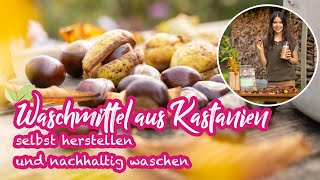 Waschmittel aus Kastanien  nachhaltig und natürlich waschen und eigenen Waschmittelvorrat anlegen [upl. by Kcirdez]