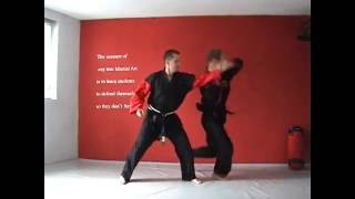 Old Karate footage by Patrick Baas 2005  Sam Lung Martial Arts 1 [upl. by Aiciram]