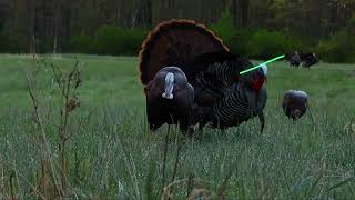 Spring Turkey Hunting  Ohio 2023 [upl. by Eenoj]