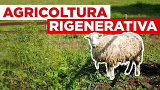 Cos’è l’agricoltura rigenerativa [upl. by Durstin]