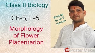 Placentation  Morphology of Flowering Plants  Ch5 L6  Class 11 Biology [upl. by Cathrine]