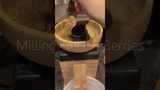 Fresh milled Kamut flour freshlymilledflour freshmilledflour kamut [upl. by Twedy]