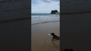 Evening Tide at Portreath Beach Cornwall [upl. by Potter]