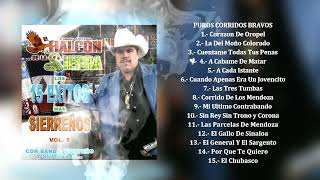 El Halcón De La Sierra  Los 15 éxitos mas sierreños Vol5 Álbum Completo [upl. by Oyek]