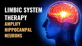 Limbic System  Amplify Hippocampal Neurons  Regulation of Autonomic Nervous System  528 Hz [upl. by Apgar]